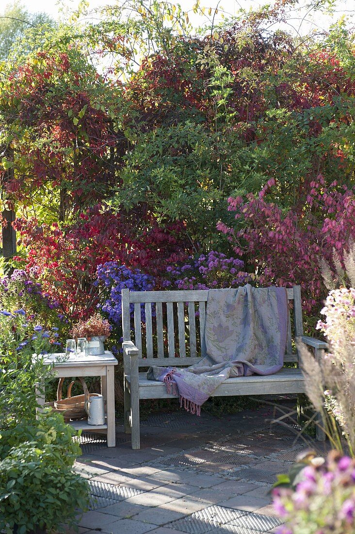 Bench at the border with perennials and woody plants