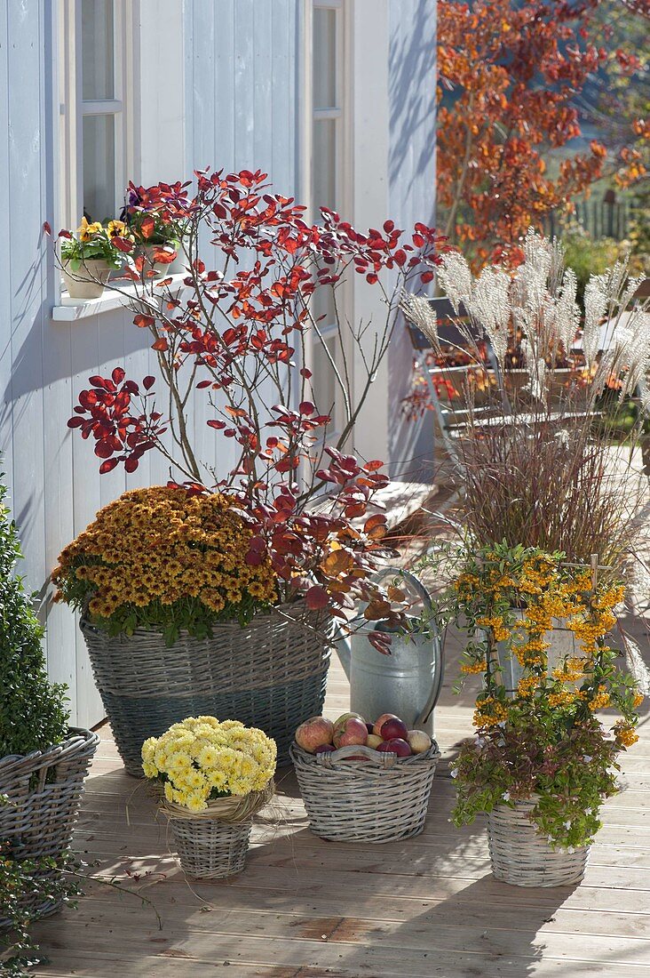 Autumn arrangement in baskets on a wooden deck