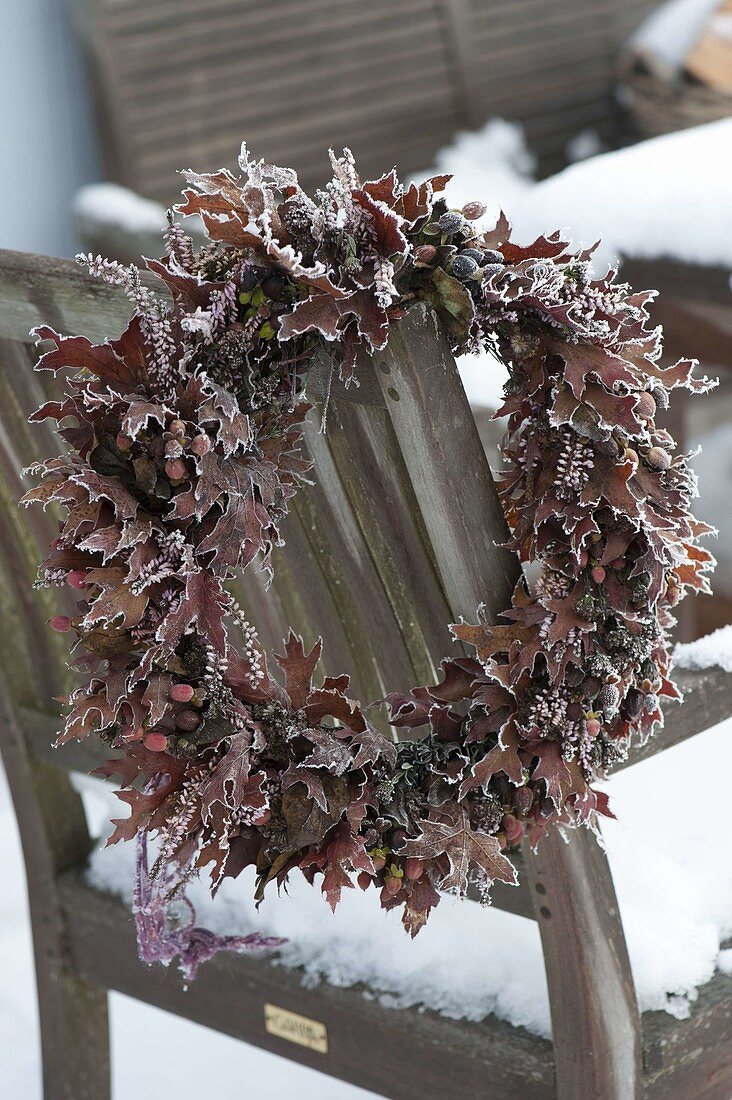 Frozen autumn wreath on chair back: leaves of Quercus (oak), Calluna