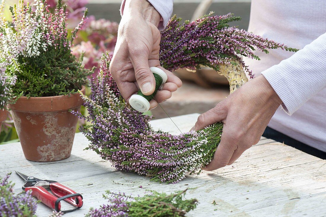 Wreath made of Calluna vulgaris (Bud-flowering broom heather)