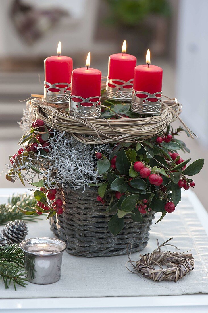 Basket planted with Gaultheria procumbens (mock berry)