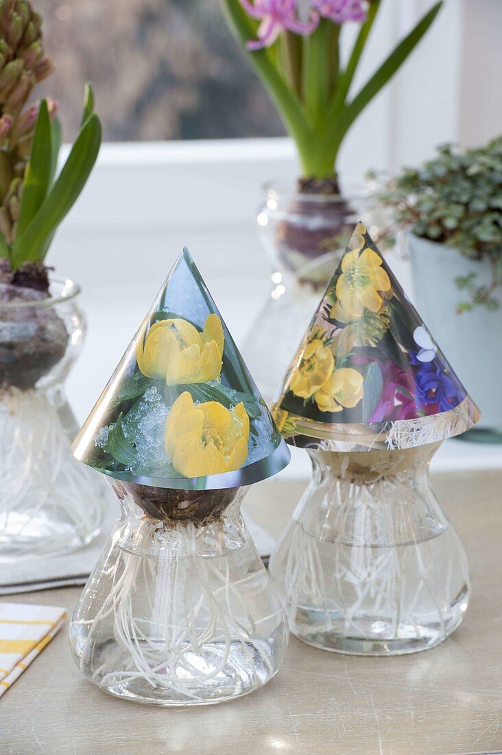 Make your own hyacinth hat from calendar leaves