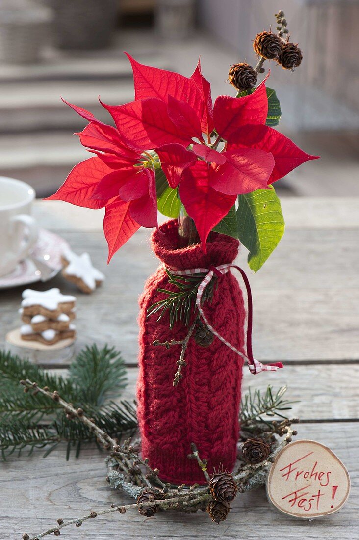 Homemade gift bottle as a Vase with red knitting panel