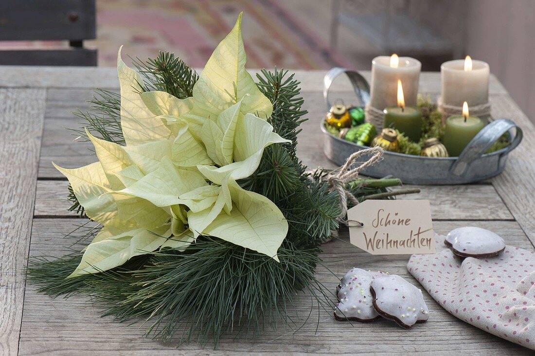 White Christmas bouquet of Euphorbia pulcherrima (Poinsettia)