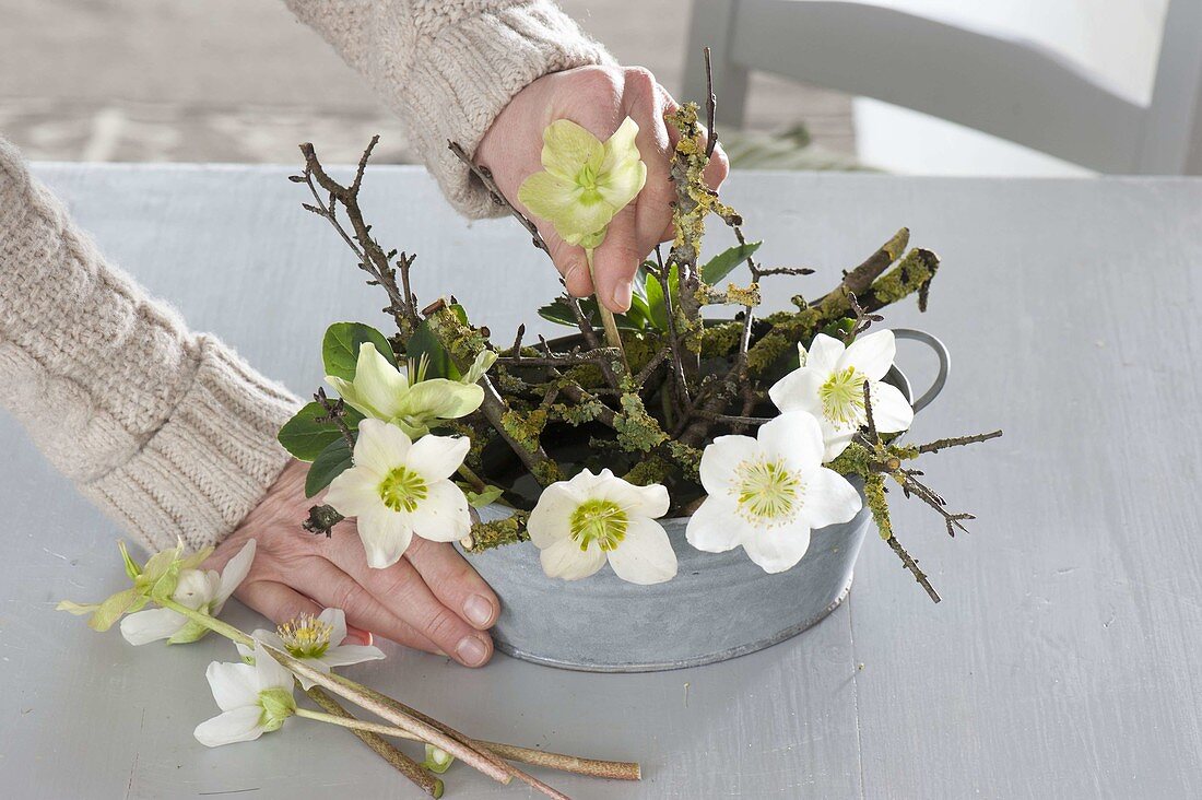 Christmas rose arrangement in zinc bowl