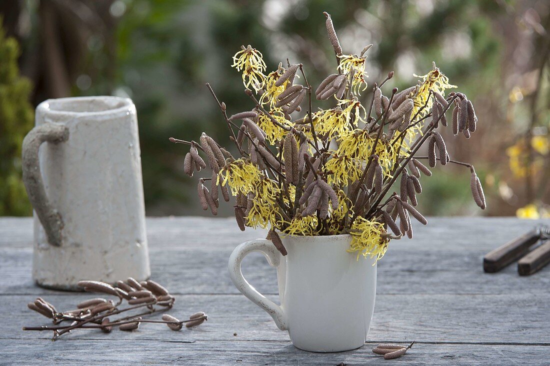 Small Corylus avellana and Hamamelis branches bouquet