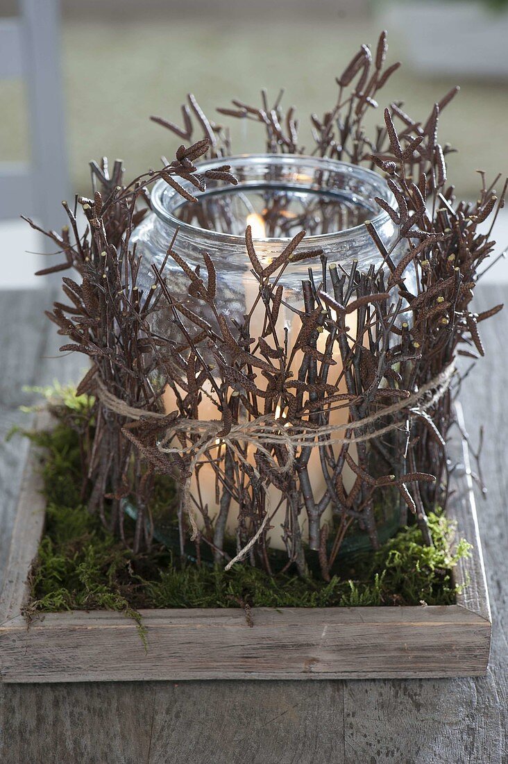 Glas umwickelt mit Zweigen von Betula (Birke) als Windlicht