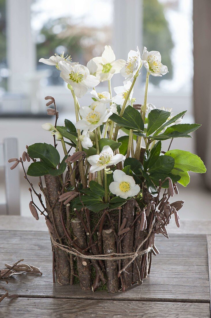 Yoghurt bucket with hazel twigs dressed as a planter