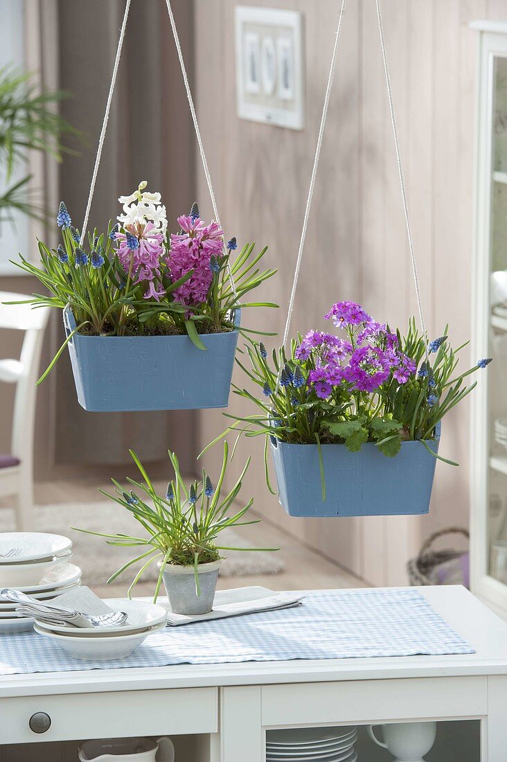 Wooden boxes planted with spring flowers hung as room dividers