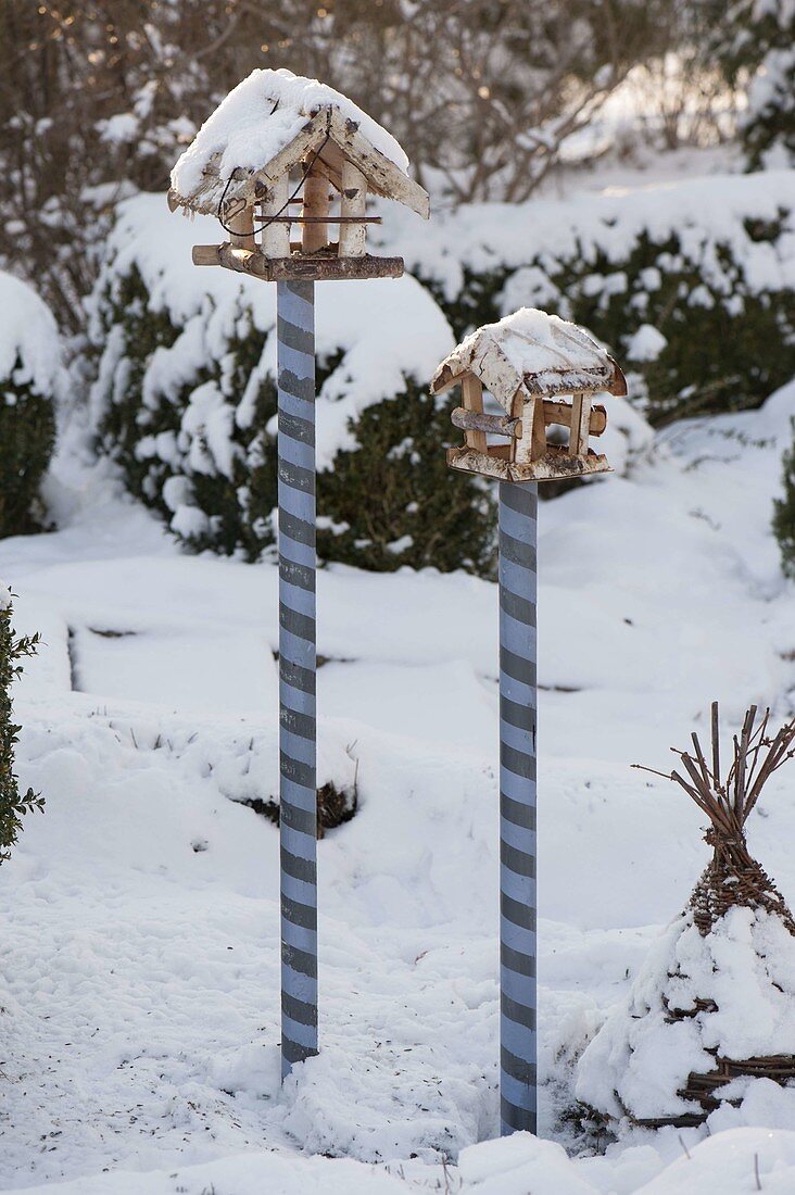 Bird feeders on curled wooden pegs in the snowy garden