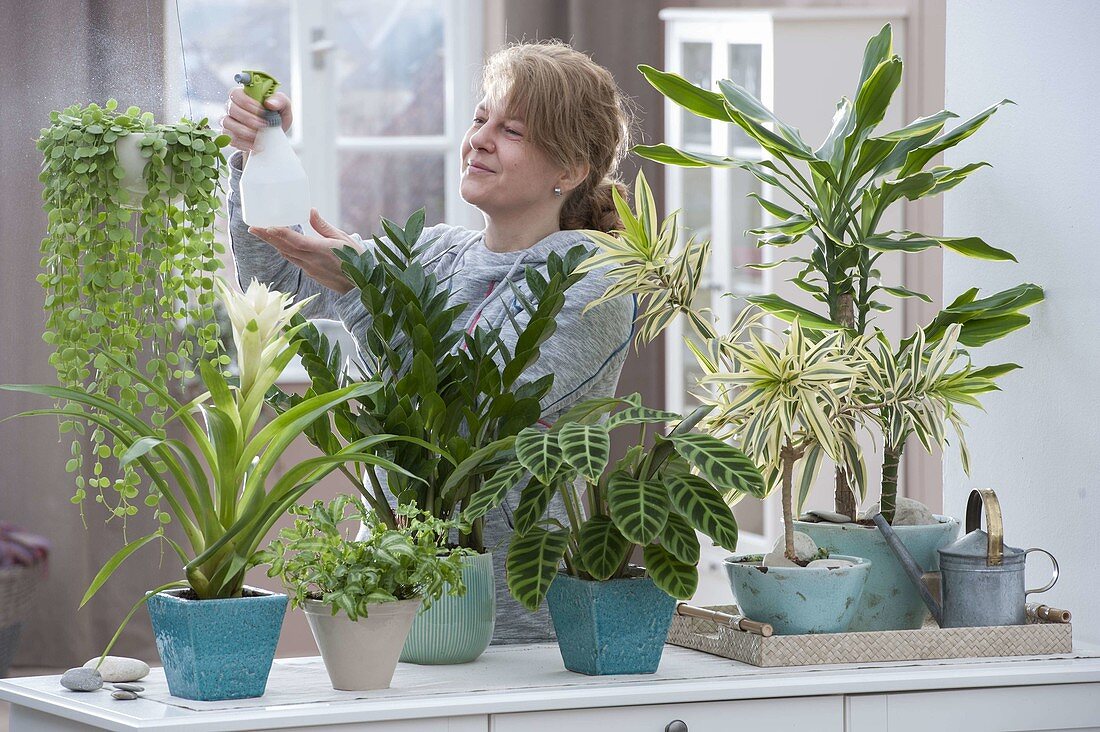 Sideboard as room divider with houseplants for shade