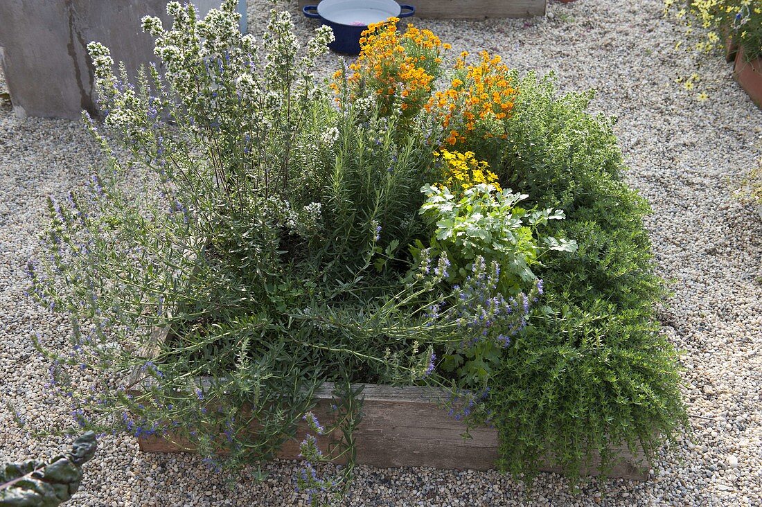 Building Square Garden beds on concrete pavers