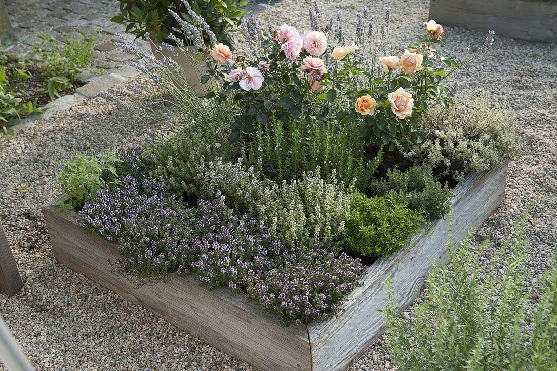 Building Square Garden beds on concrete pavers