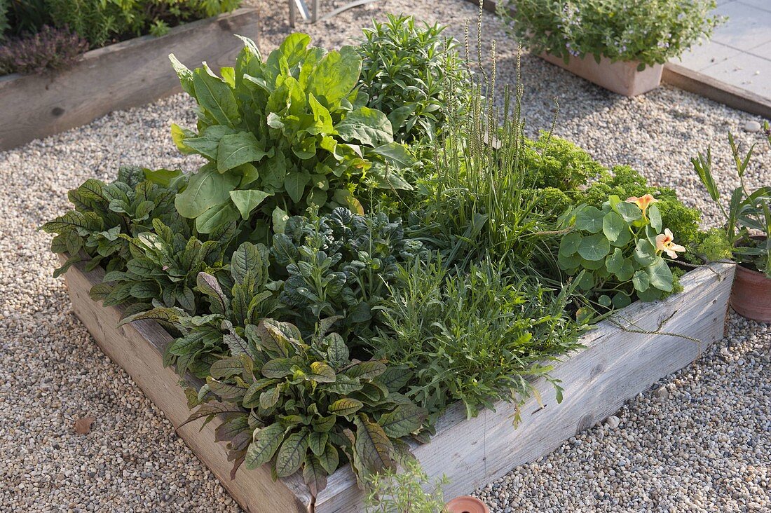 Building Square Garden beds on concrete pavers