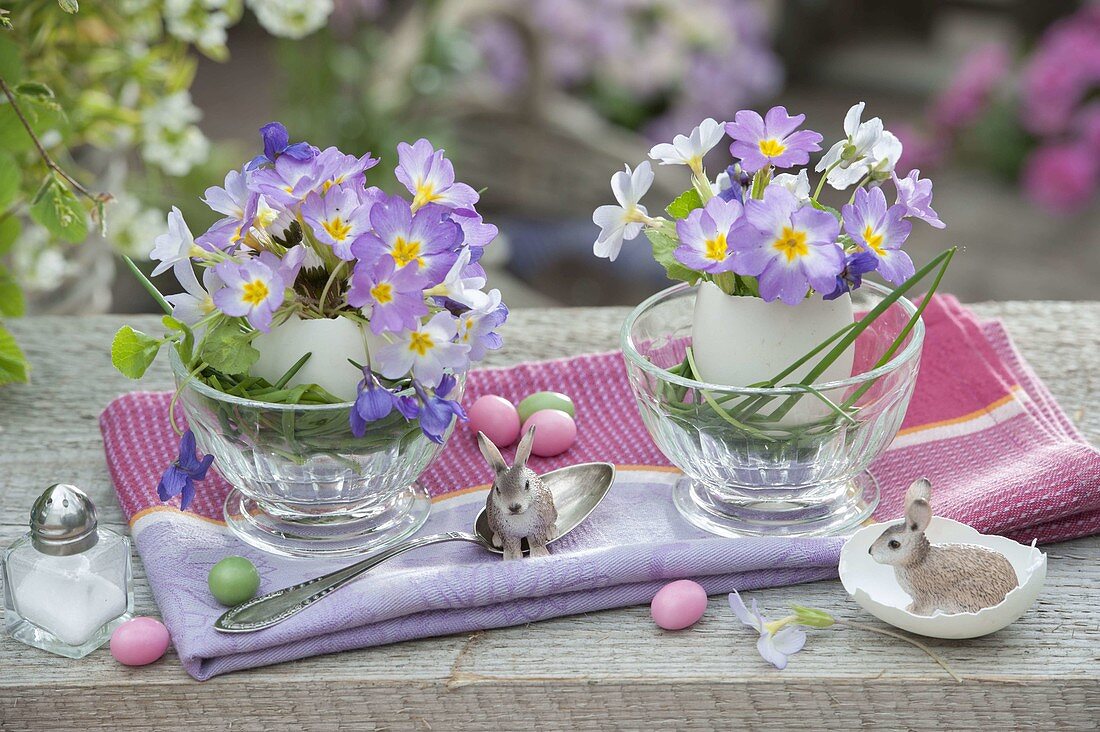 Small bouquets in eggshells as vase: Primula (cushion primrose), Viola