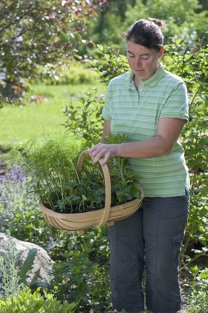 Woman planting summer flowers in the bed