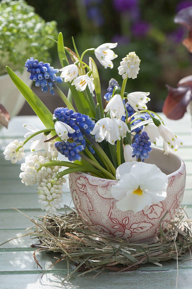 Small bouquet of Muscari (grape hyacinths), Galanthus