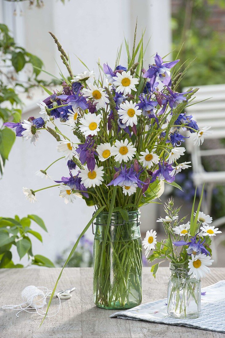 Blue-white bouquet of Leucanthemum vulgare (daisies), Aquilegia