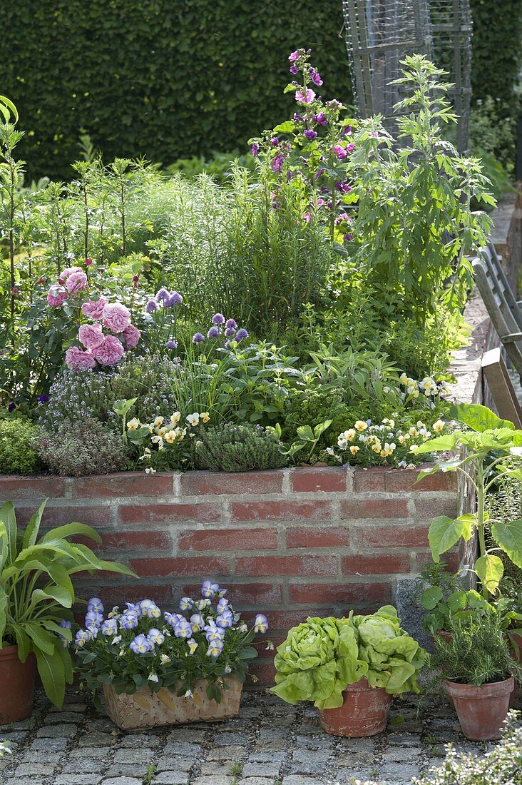 Walled raised bed with herbs