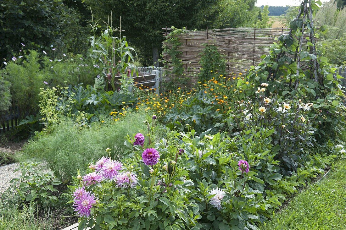 Farm garden with vegetables, flowers and herbs