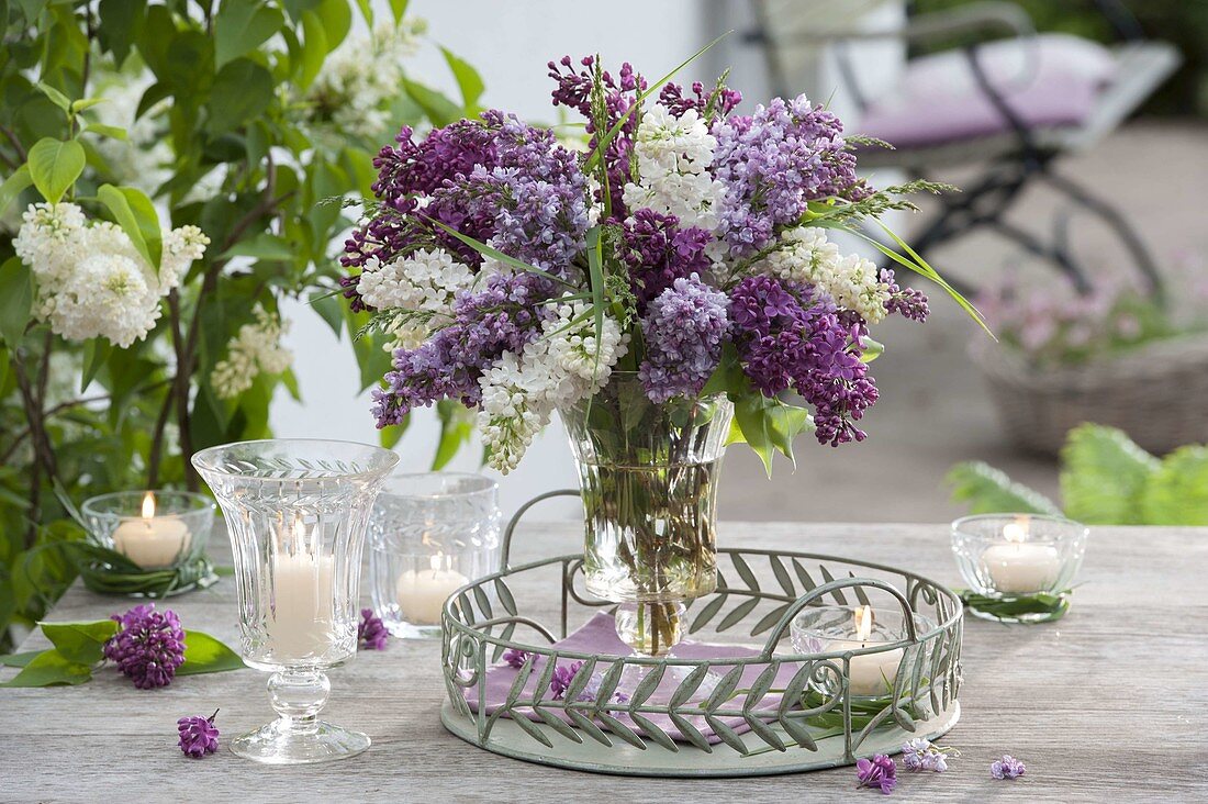 Fragrant bouquet of Syringa (lilac) and grasses in glass vase
