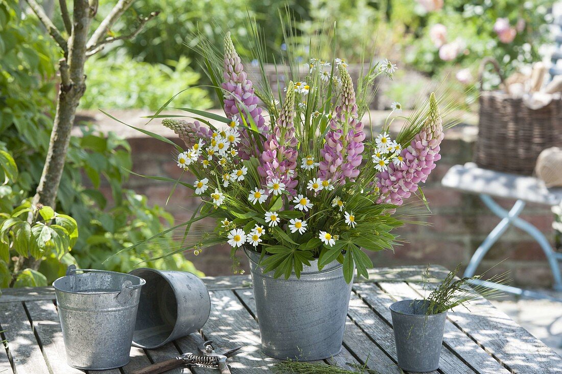 Early summer bouquet with lupinus, chamomile