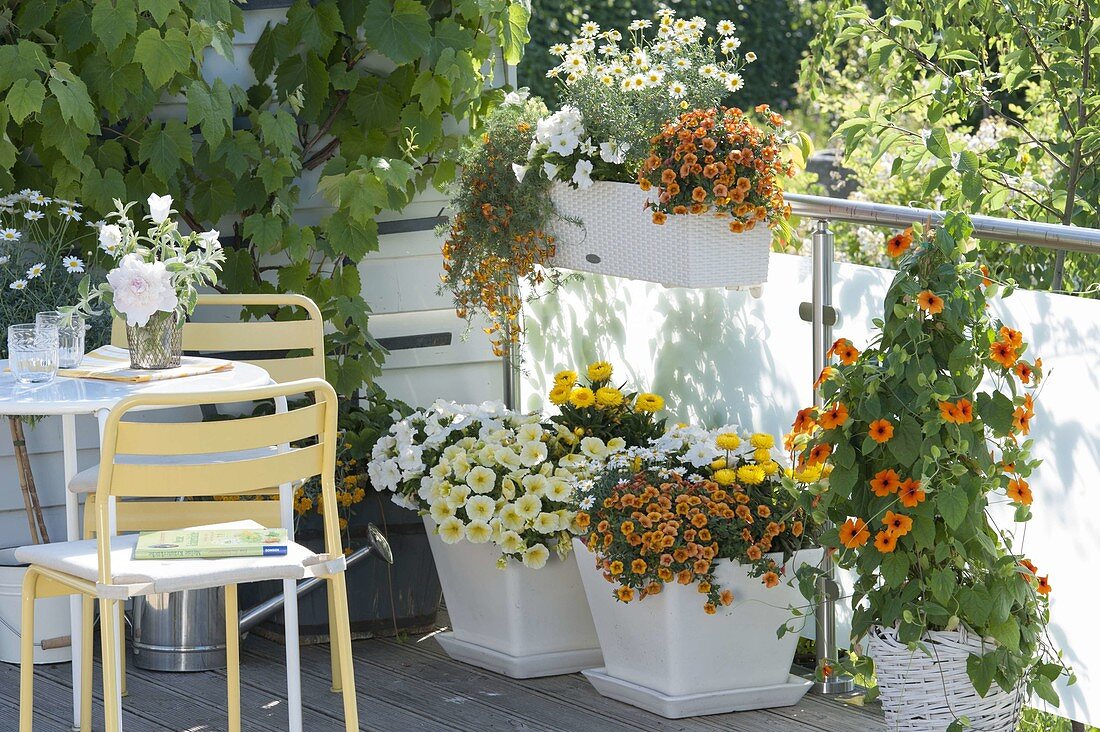 weiss-gelb-oranger balkon - bild kaufen - 12186399