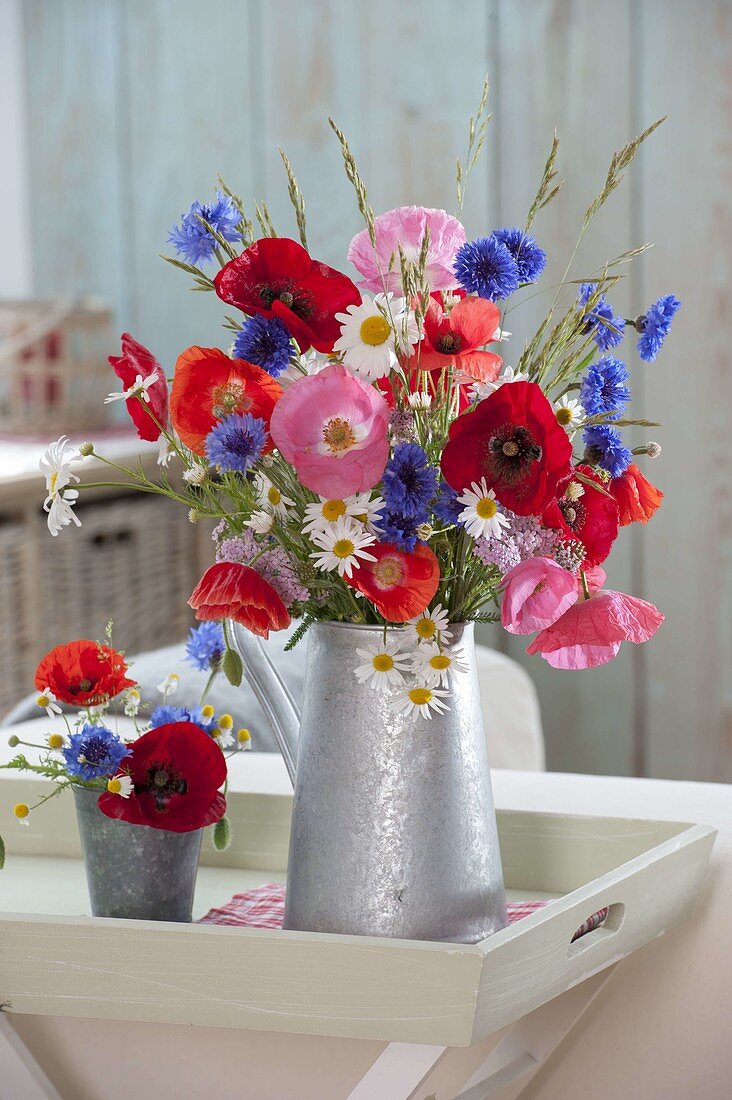 Colorful bouquet of Papaver rhoeas (poppy), Centaurea cyanus