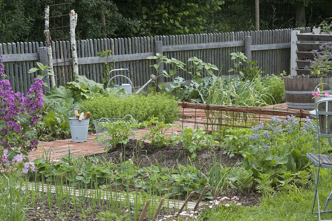 General view organic garden