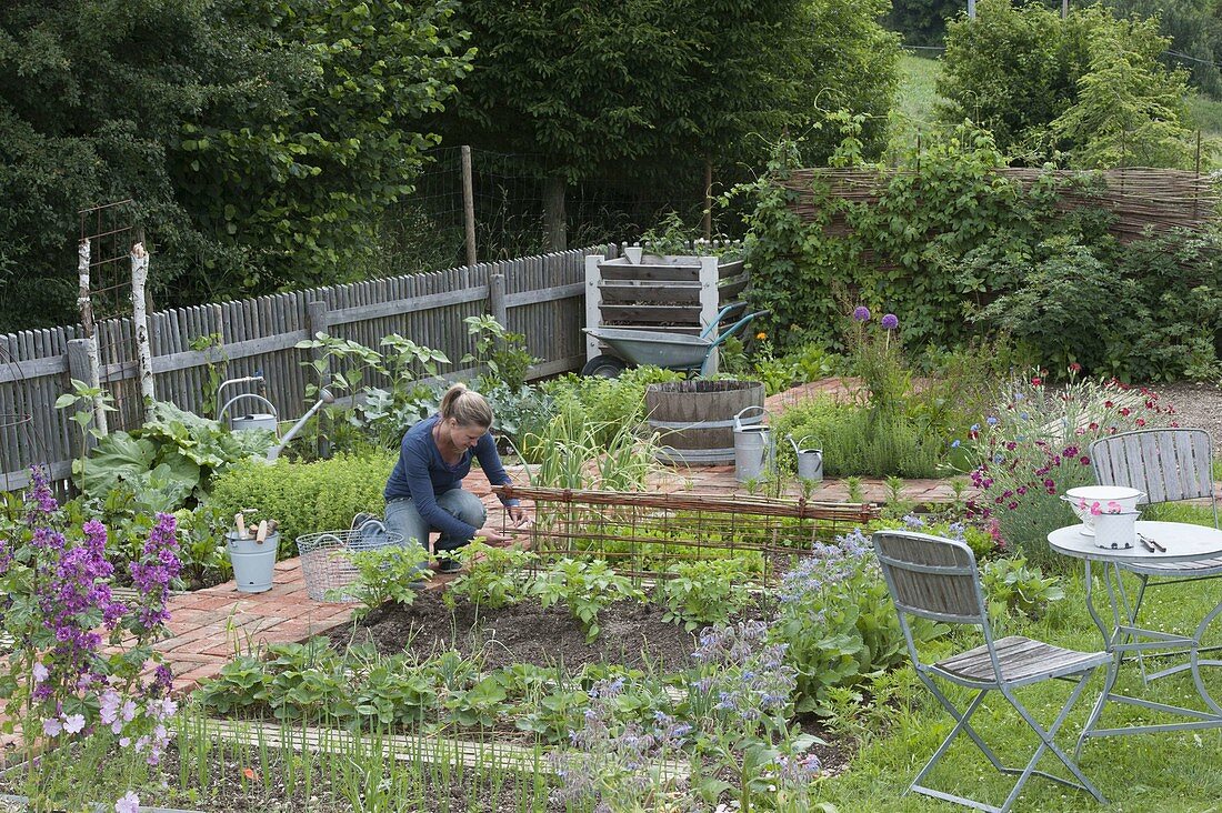 Overall view of organic garden