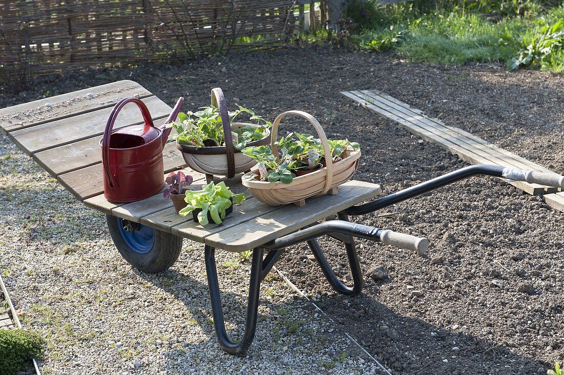 Swiss cart with plants on the empty bed