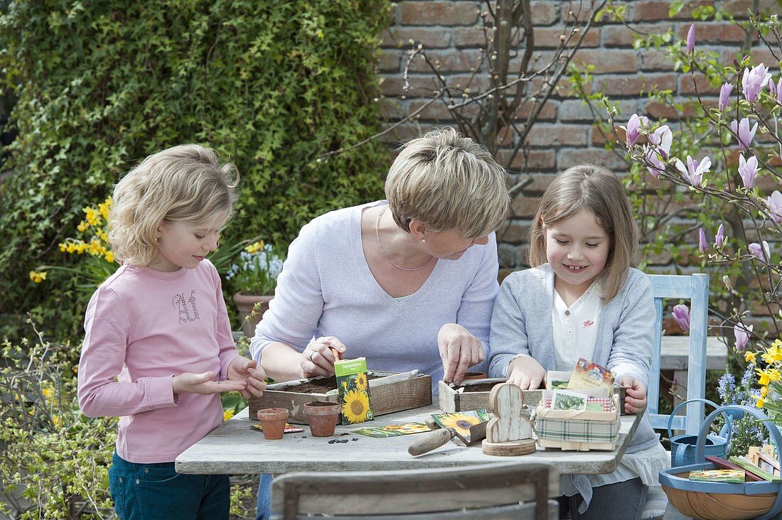 Mother and girls sowing sunflowers