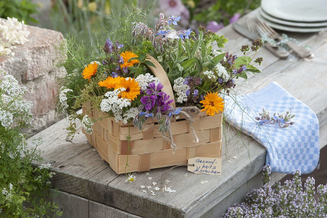 Health basket with freshly picked herbs