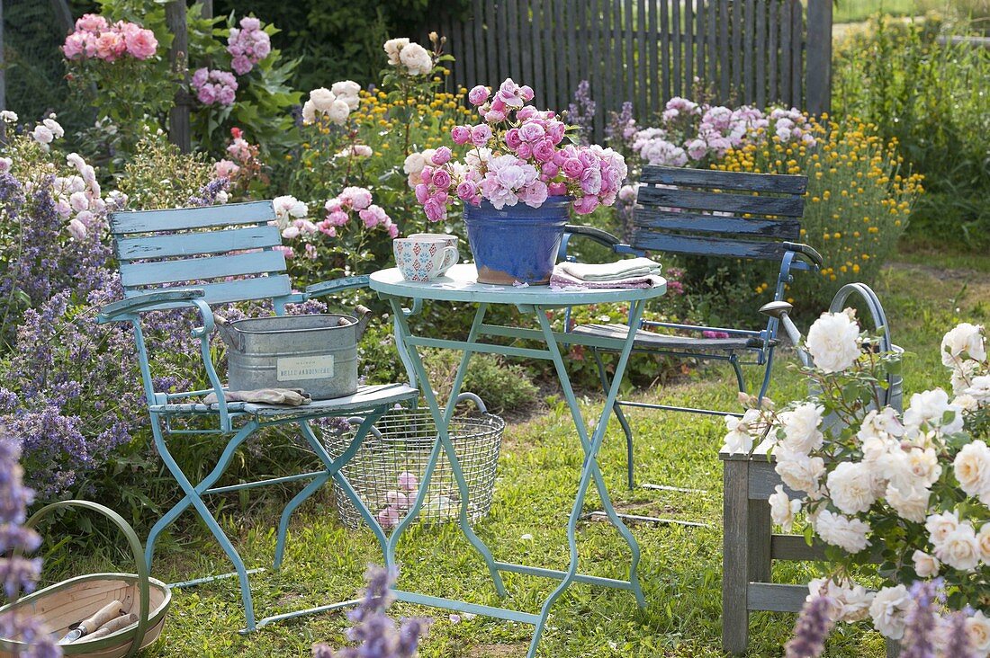 Bouquet of Rosa (roses) and Nepeta (catmint) on a table in the garden