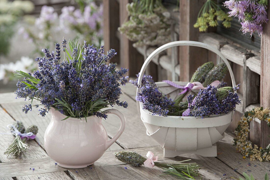 Small bouquet of fresh lavender (Lavandula) in cream jug