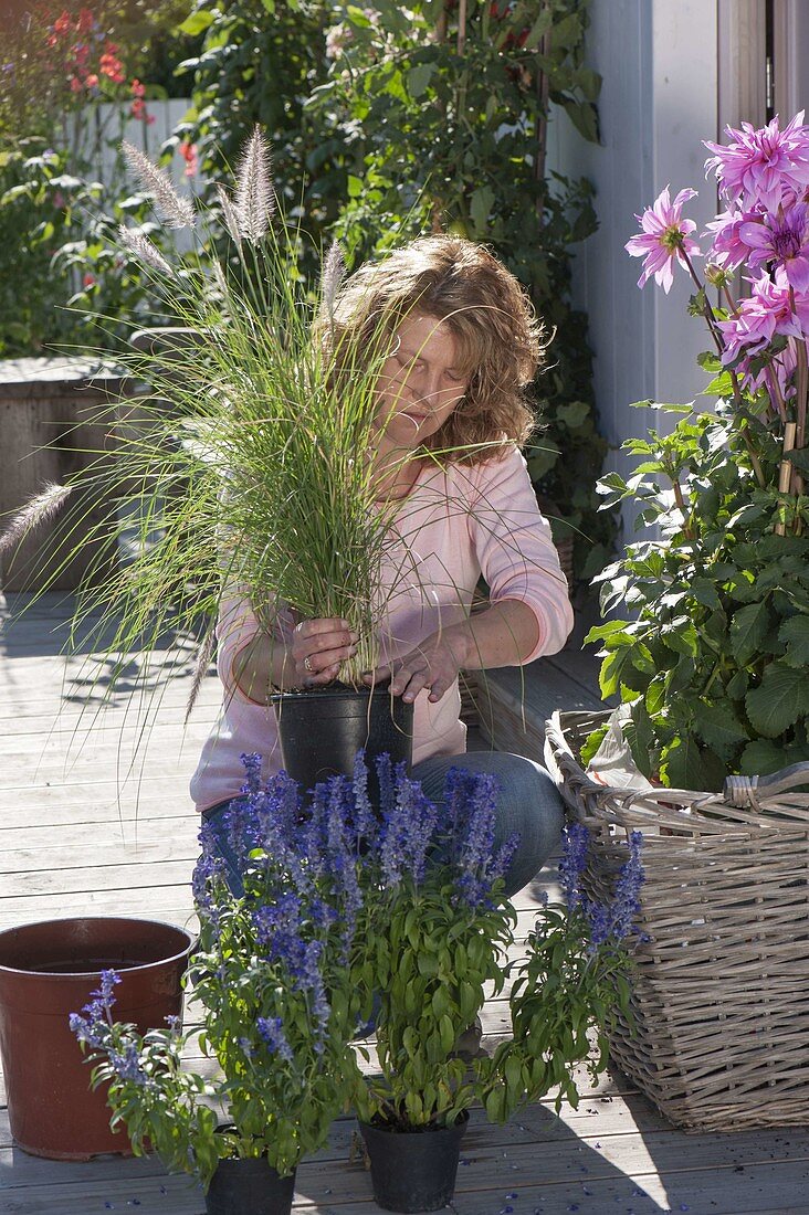 Basket late summer planting