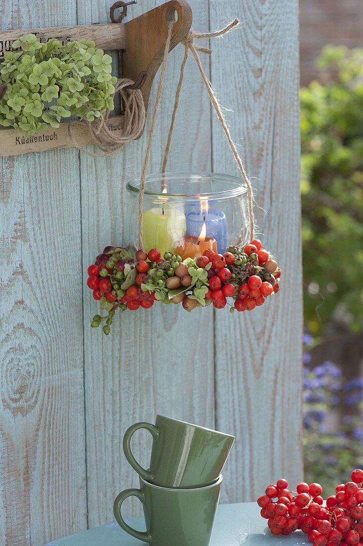 Wind light in a berry wreath: Sorbus aucuparia 'Edulis' (mountain ash)