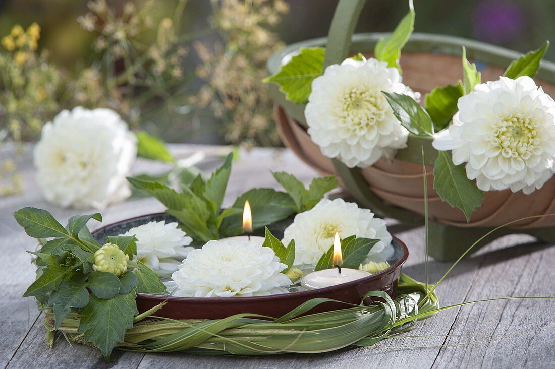 Dahlia 'Boom Boom White' (dahlias) with floating candles in water