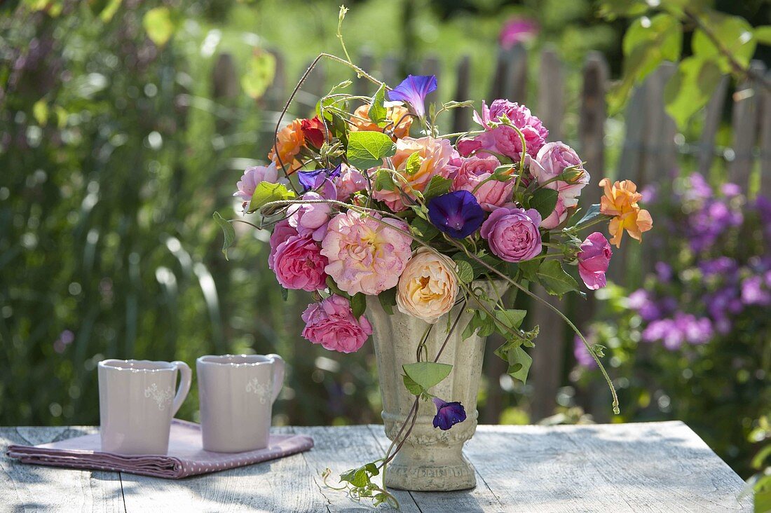 Strauss aus gemischten Rosa (Rosen) mit Ipomoea tricolor (Trichterwinde)