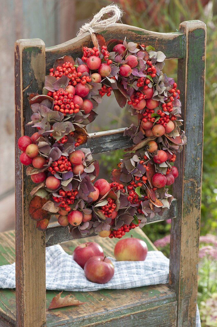 Kleiner Herbstkranz mit Blüten von Hydrangea (Hortensie), Malus