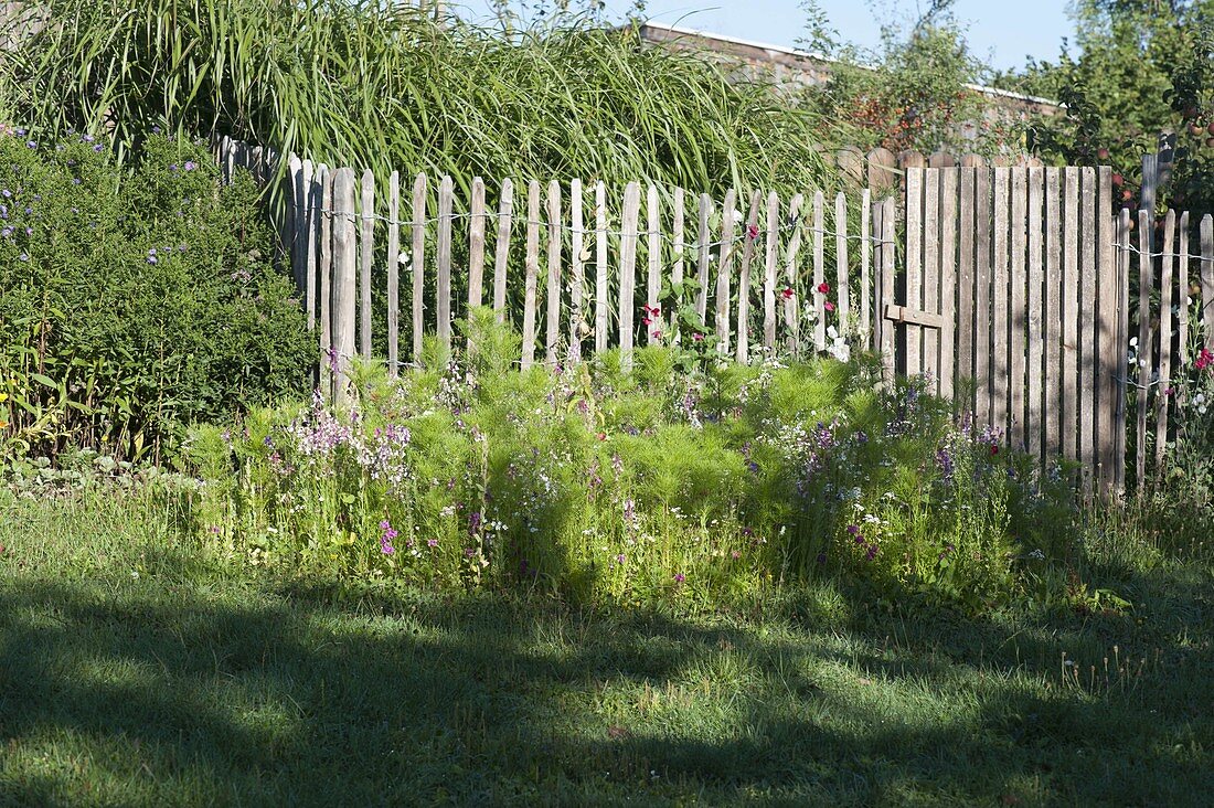 Create round bed with Veitshöchheim summer flower mixture