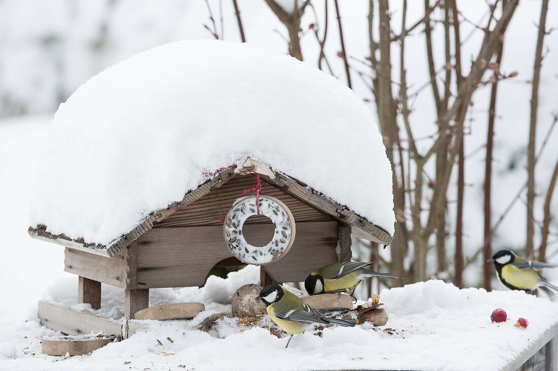 Verschneites Futterhaus mit Meisenring