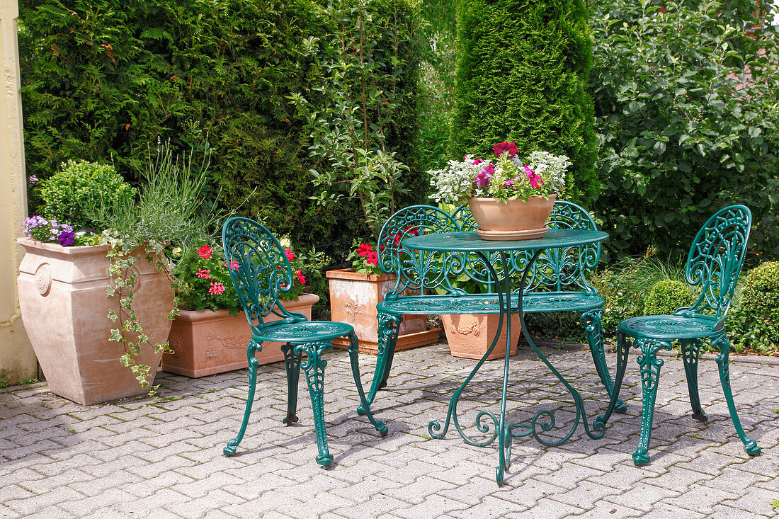 Terrace in front of thuja hedge, tub with buxus