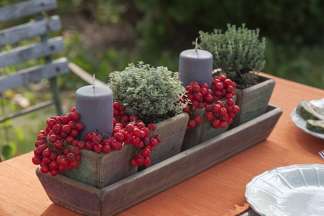 Kräuter und Vogelbeeren als Tischdeko