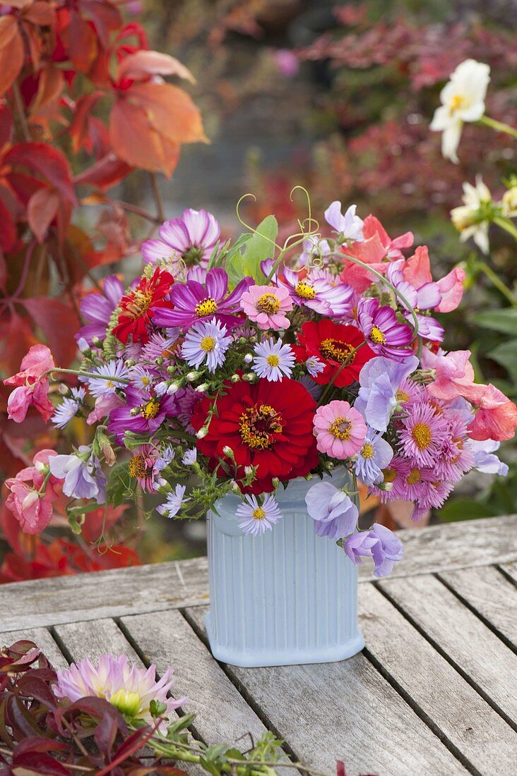 Early autumn bouquet: Zinnia (zinnias), Cosmos (jewel basket), Aster