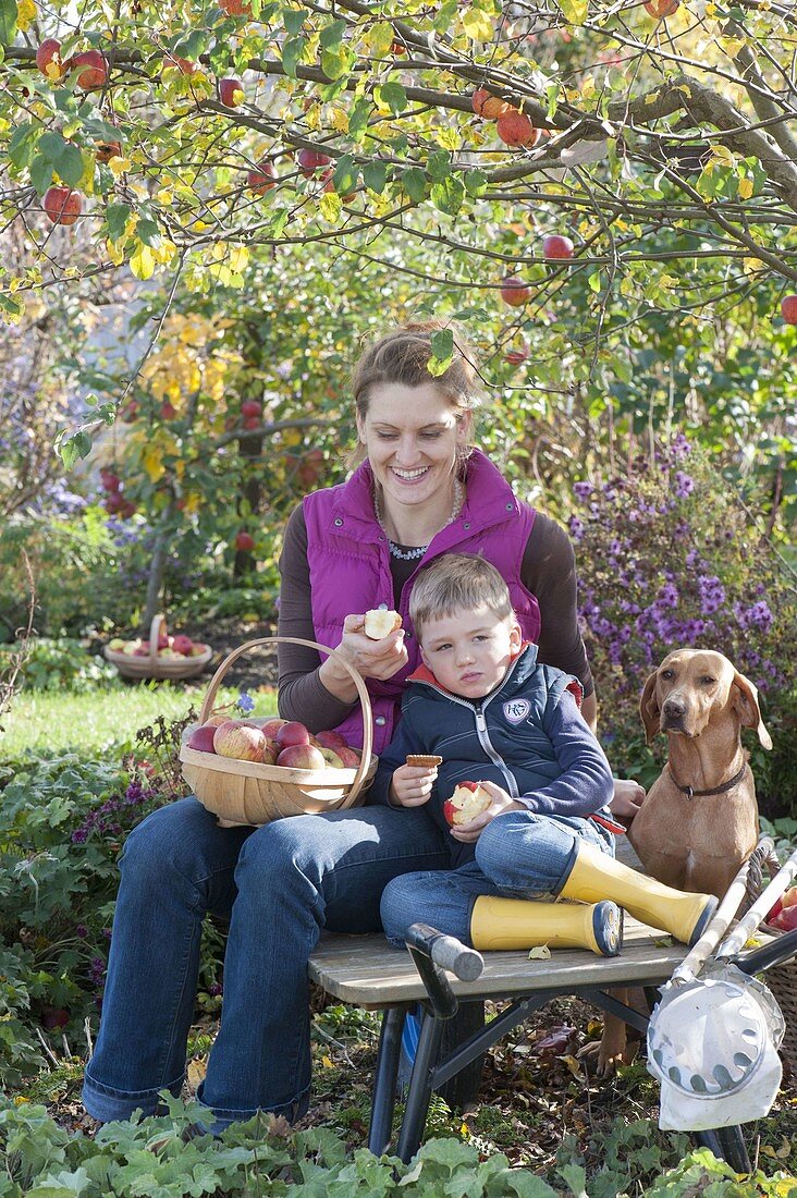 Woman with children harvesting apples