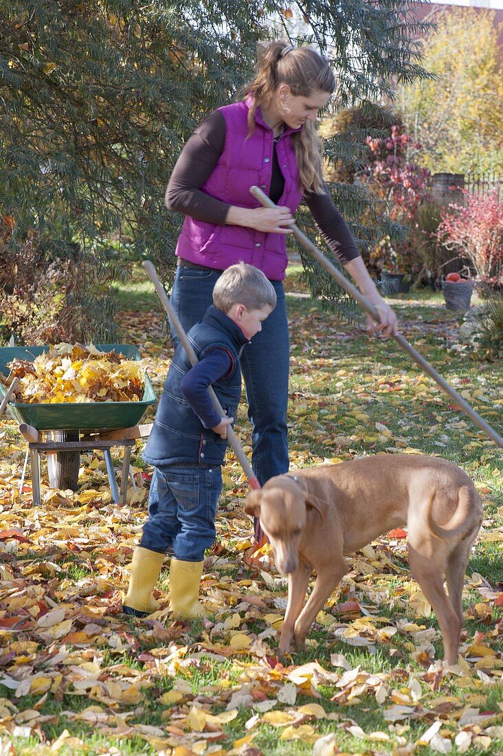 Raking leaves with children and dog