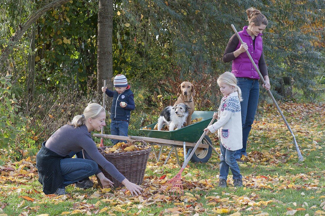 Raking leaves with children and dog