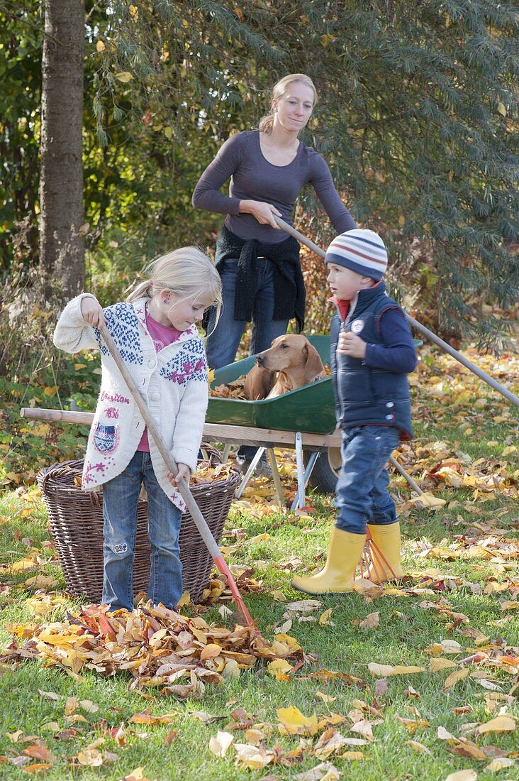 Laub rechen mit Kindern und Hund