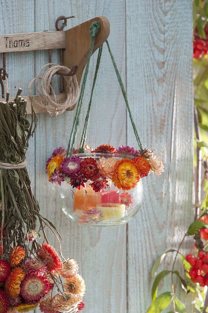 Glass with flower wreath of Xerochrysum bracteatum syn Helichrysum